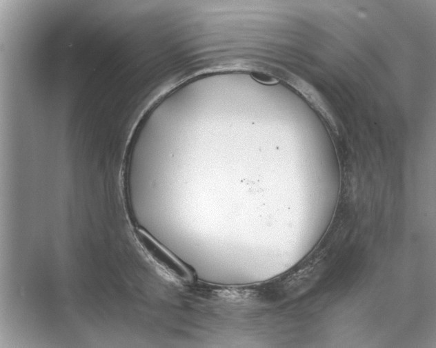 X0000073840805200608311933