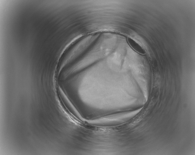 X0000073840806200608311933