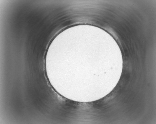 X0000073840807200608311933