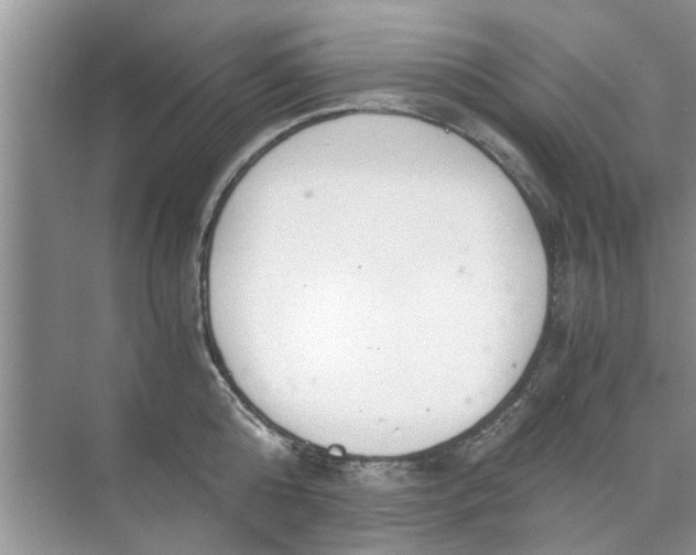 X0000073840808200608311933