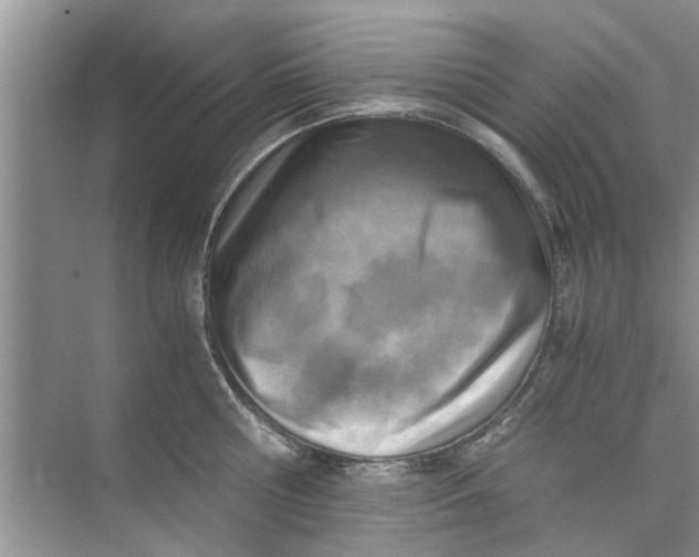 X0000073840810200608311933