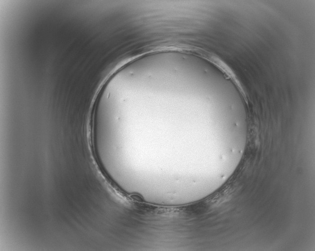 X0000073840811200608311933