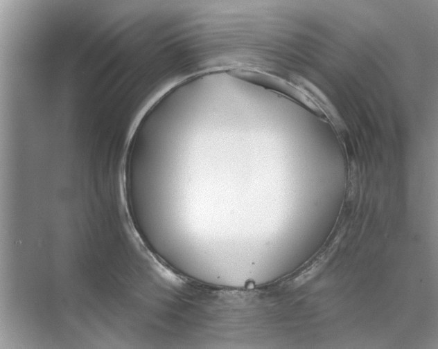 X0000073840812200608311933