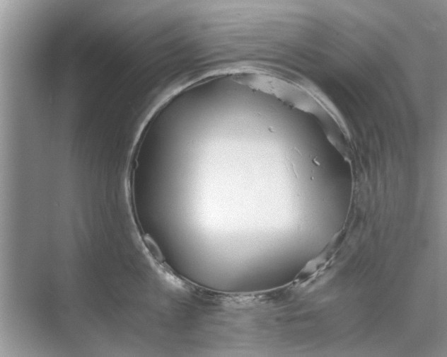 X0000073840813200608311933