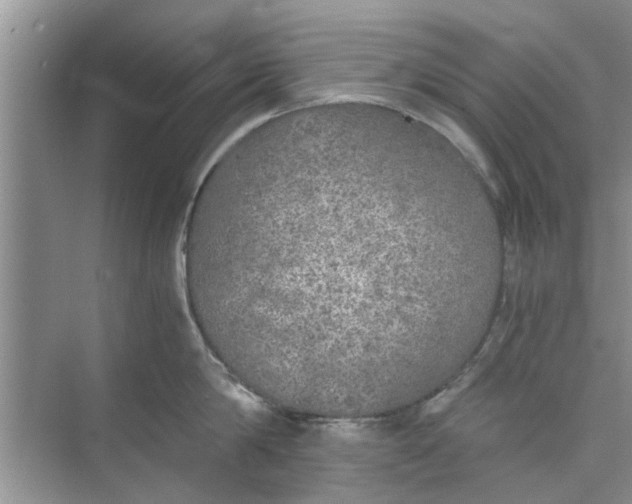 X0000073840814200608311933