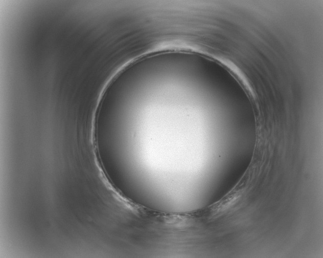 X0000073840815200608311933