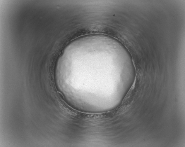 X0000073840817200608311932