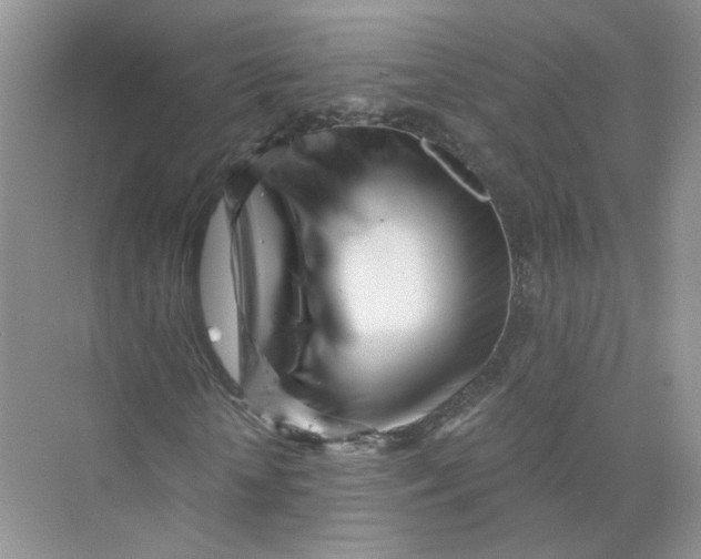 X0000073840818200608311932