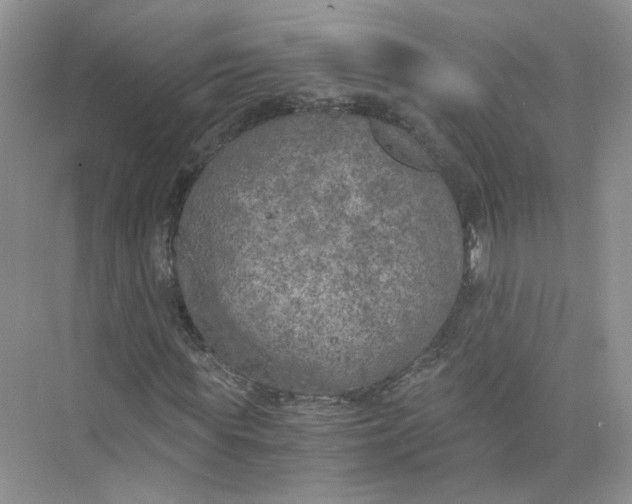 X0000073840819200608311932