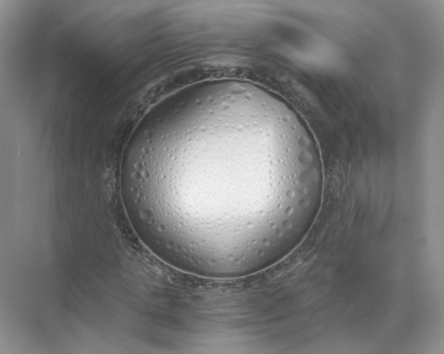 X0000073840821200608311932