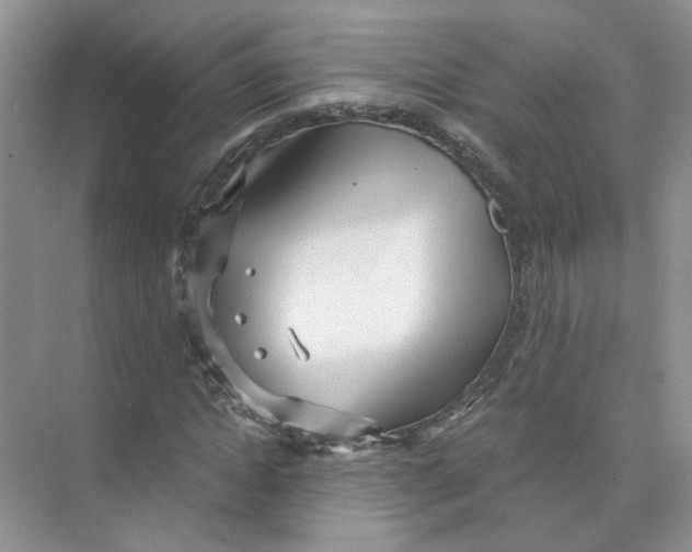 X0000073840822200608311932