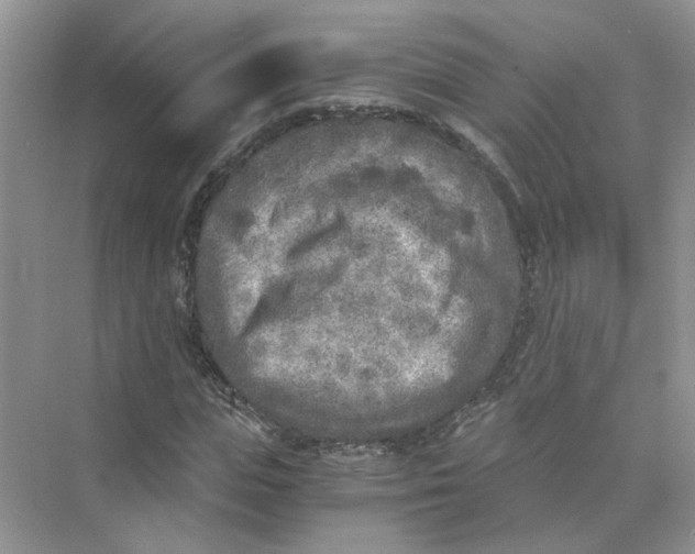 X0000073840823200608311932