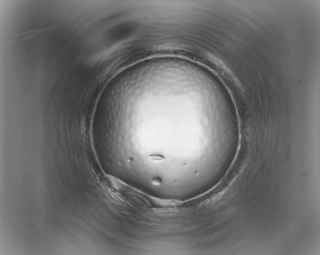 X0000073840825200608311932