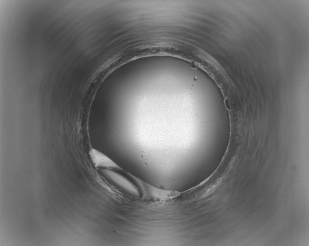 X0000073840826200608311932