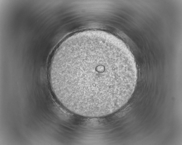 X0000073840828200608311932