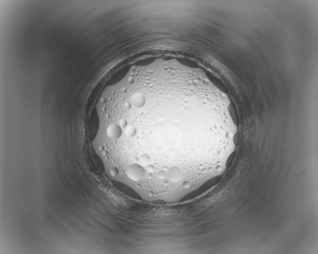 X0000073840829200608311932