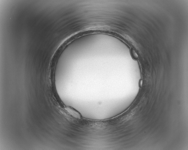 X0000073840830200608311932