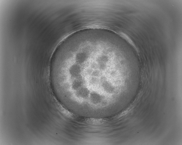 X0000073840831200608311932