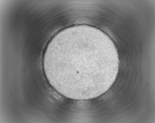 X0000073840832200608311932