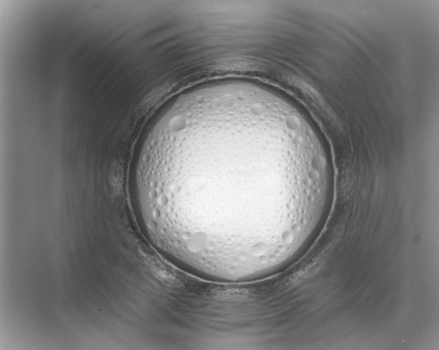 X0000073840833200608311932