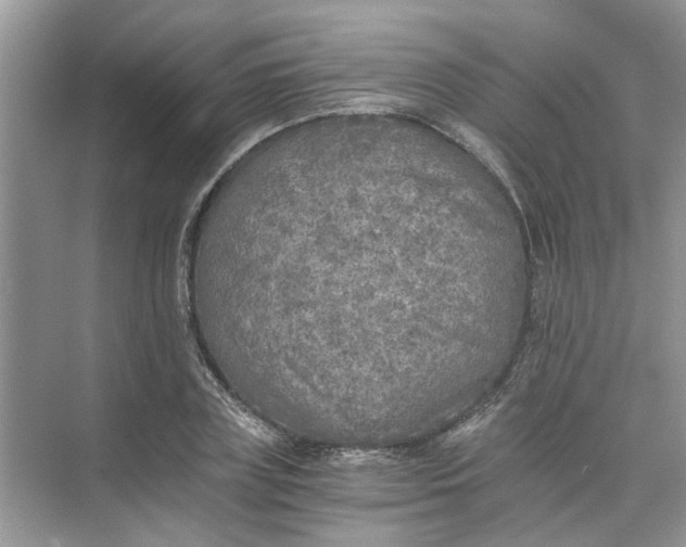 X0000073840835200608311932