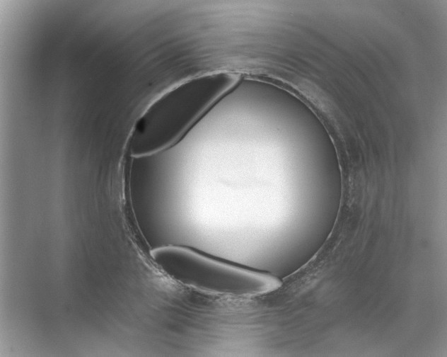 X0000073840838200608311932