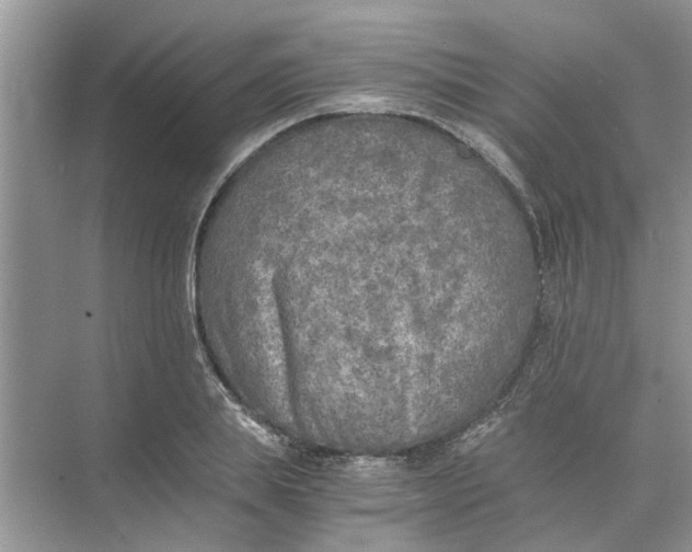 X0000073840839200608311932