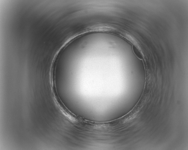 X0000073840843200608311932