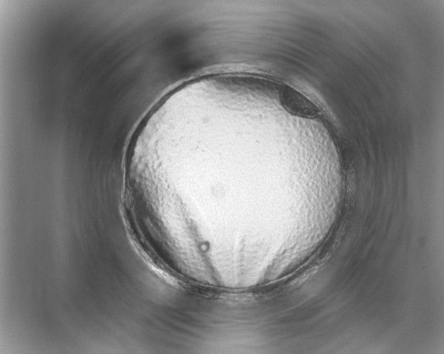 X0000073840844200608311932