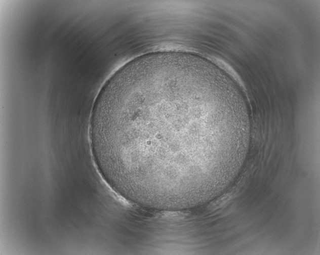 X0000073840847200608311933