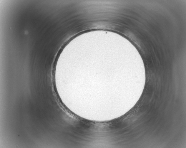 X0000073840848200608311933