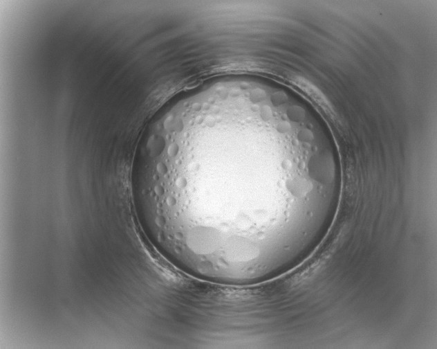 X0000073840849200608311933