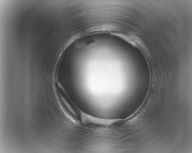 X0000073840850200608311933