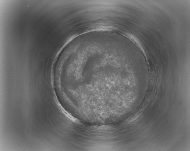 X0000073840851200608311933