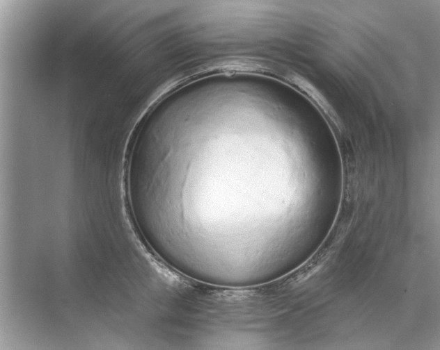 X0000073840853200608311933