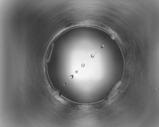 X0000073840854200608311933