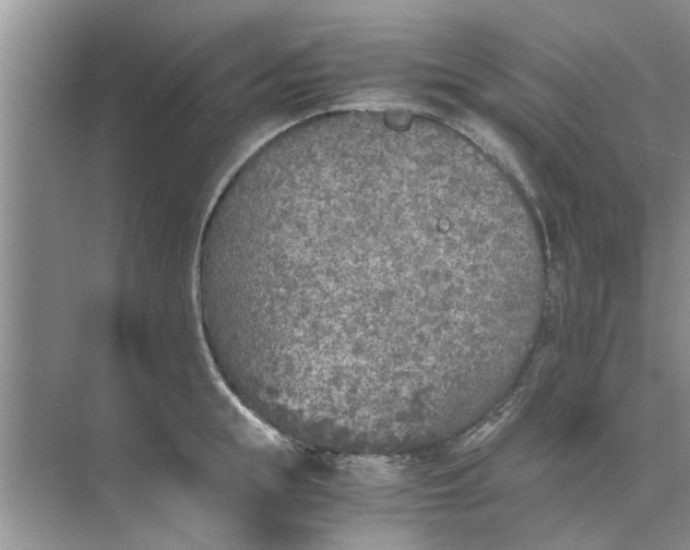 X0000073840855200608311933