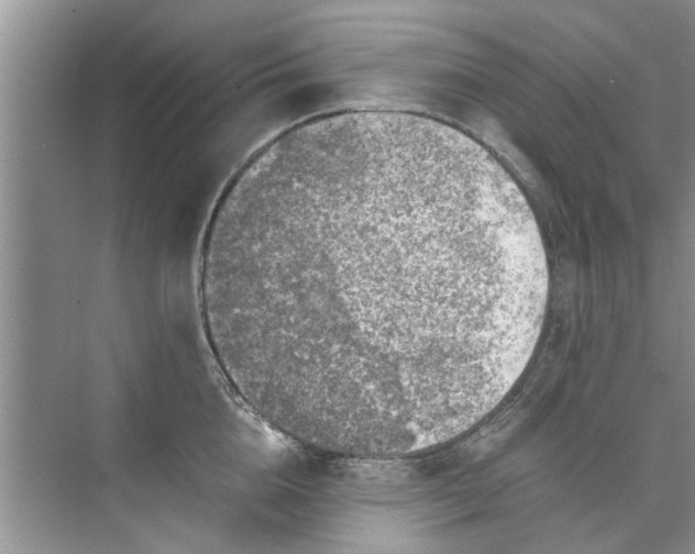 X0000073840856200608311933