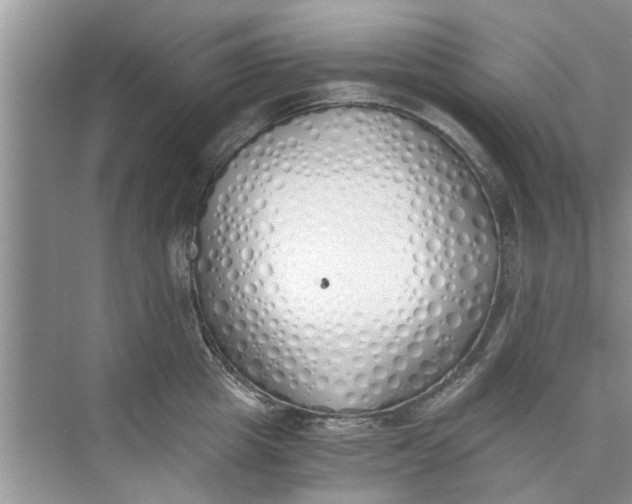 X0000073840857200608311933