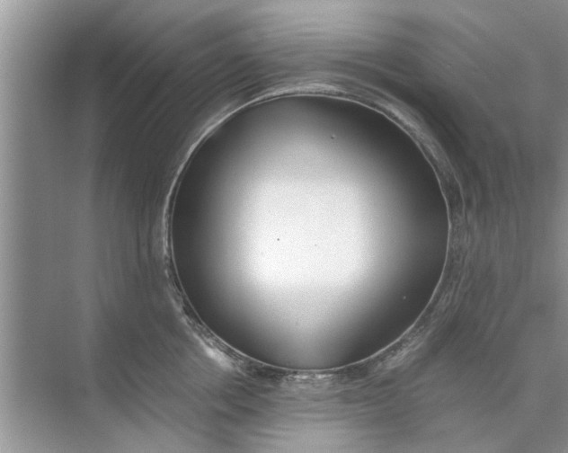 X0000073840858200608311933