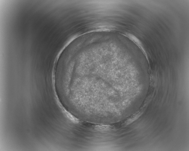 X0000073840859200608311933