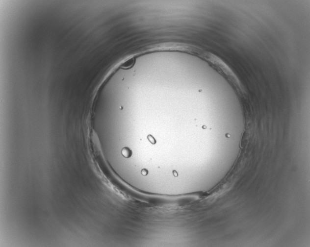 X0000073840860200608311933