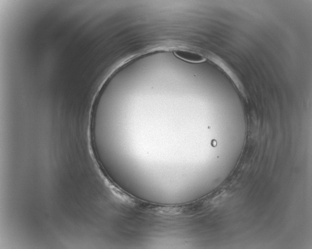 X0000073840861200608311933