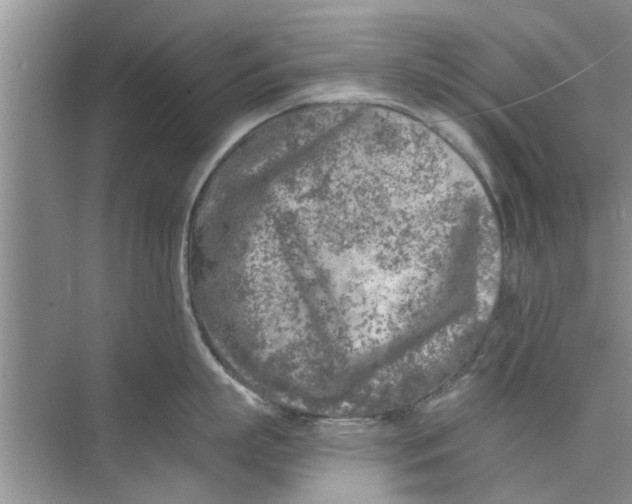 X0000073840863200608311933