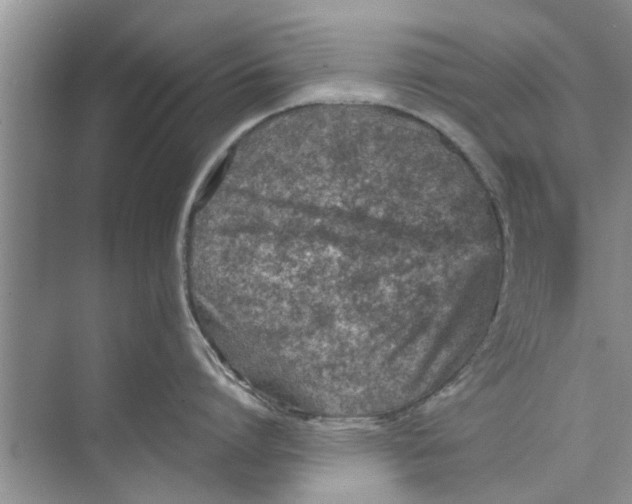 X0000073840864200608311933