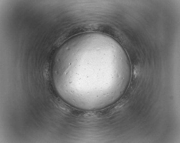 X0000073840867200608311932