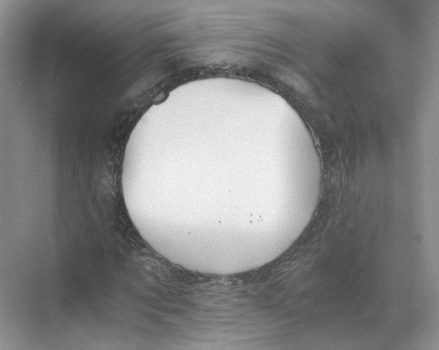 X0000073840869200608311932