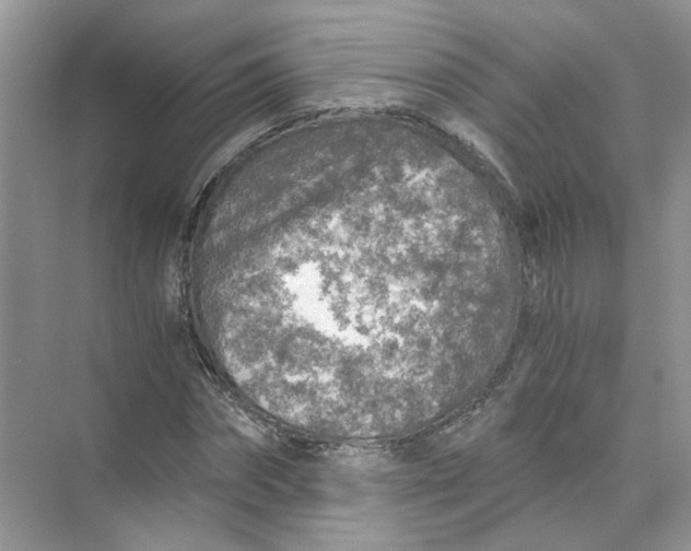 X0000073840874200608311932