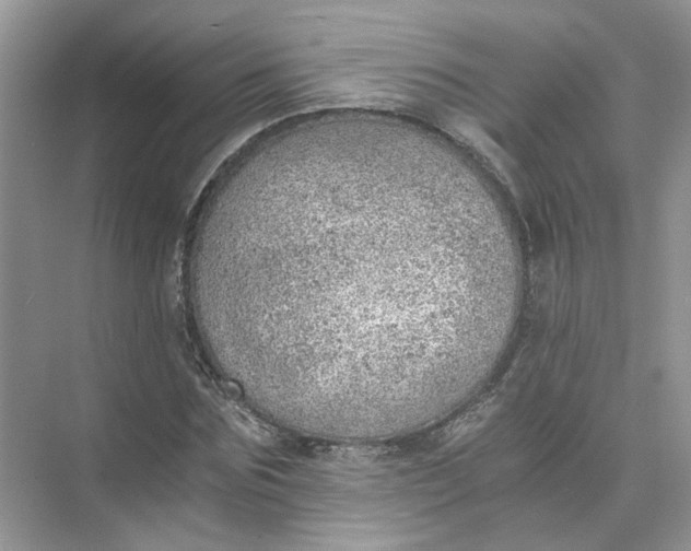 X0000073840875200608311932