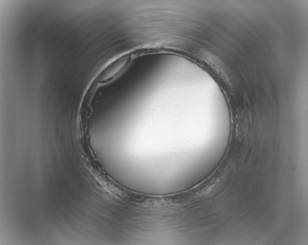 X0000073840876200608311932